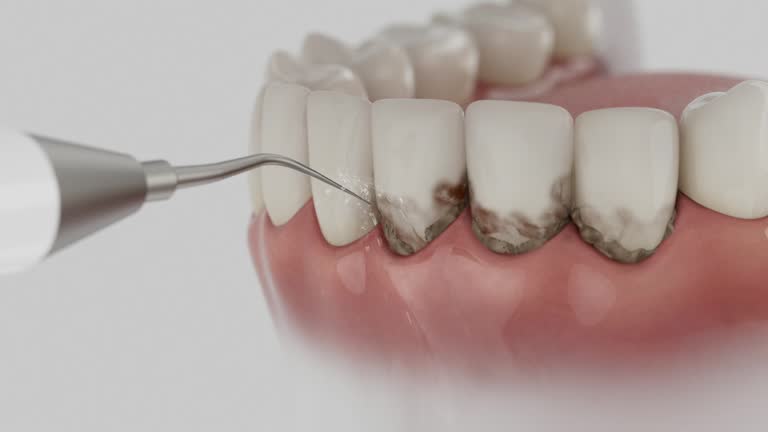 Trusted Emergency Dentist service in Egypt, AL - Dentist Open Now